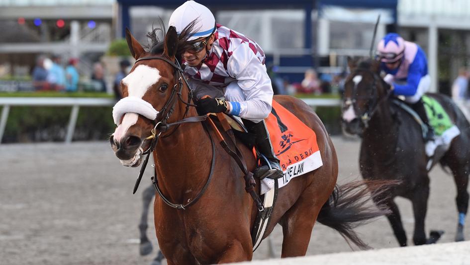 Tiz the Law Flawless in Florida Derby